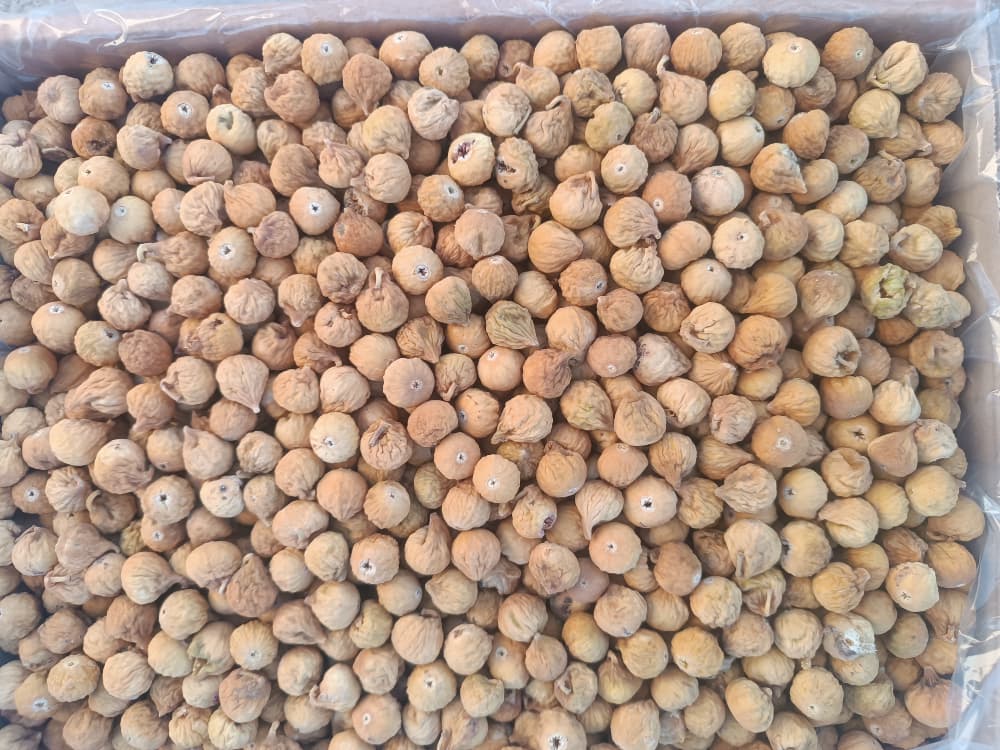 تصویر 1 از فروش انجیر خشک استهبان با بهترین شرایط برای صادرات